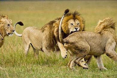 《全网公敌：新世界》Steam页面上线 发售日期待定